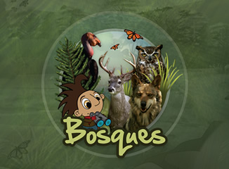 Portada bosque