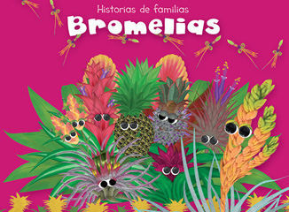 Portada bromelias