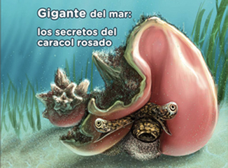 Portada los secretos del caracol rosado