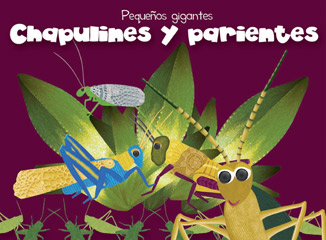 Portada chapulines