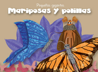 Portada mariposas