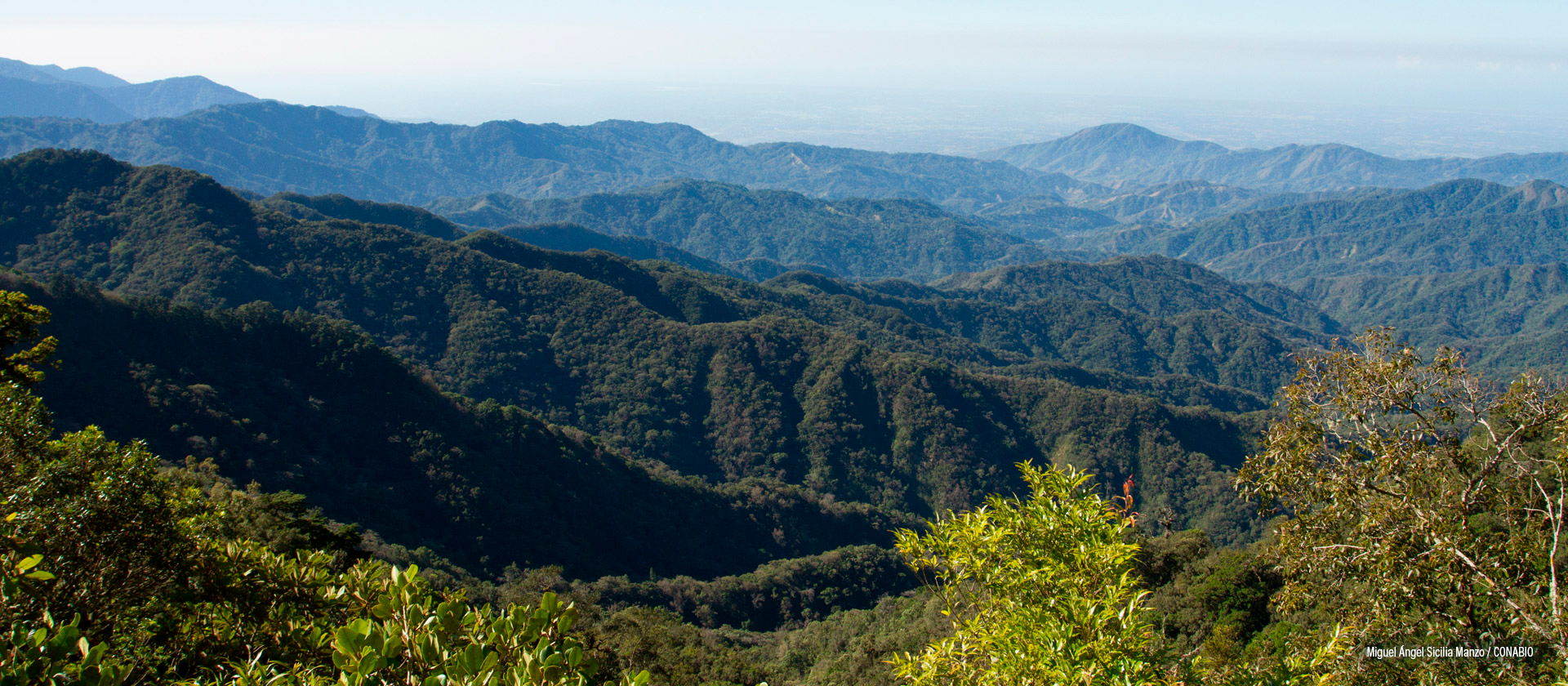 El Triunfo Chiapas