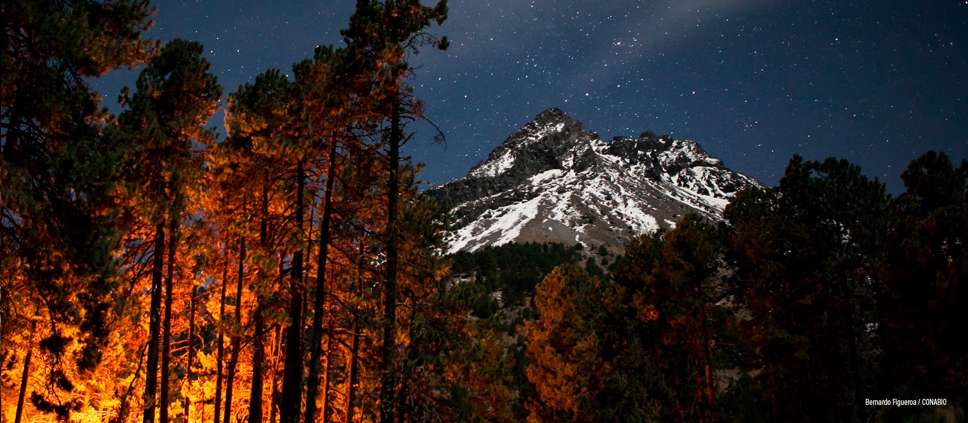 Parque Nacional Nevado de Colima