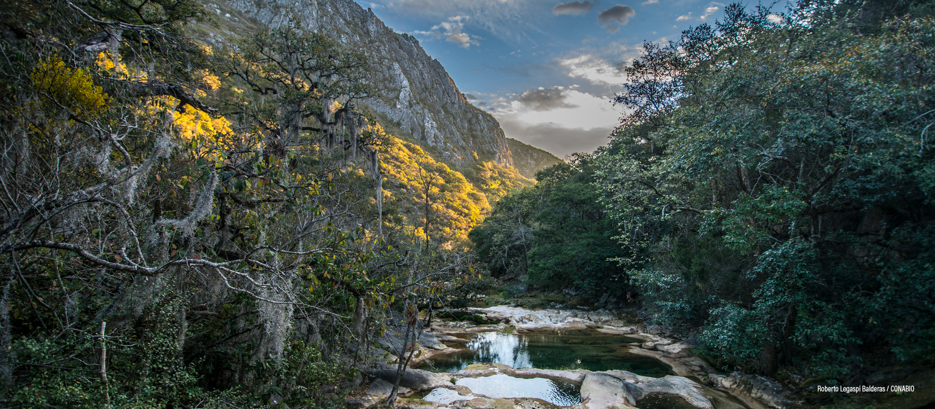 San Nicolás Tolentino, San Luis Potosí