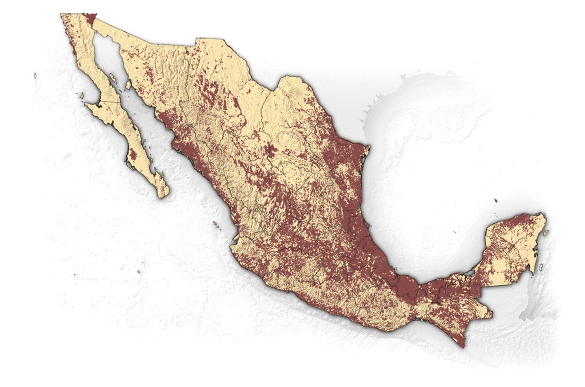 Mapa de campos en México
