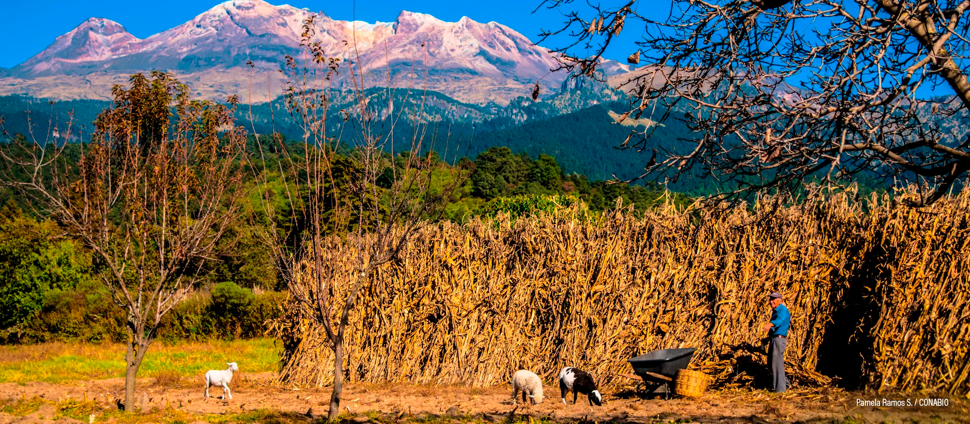 Iztaccíhuatl, Amecameca, Estado de México