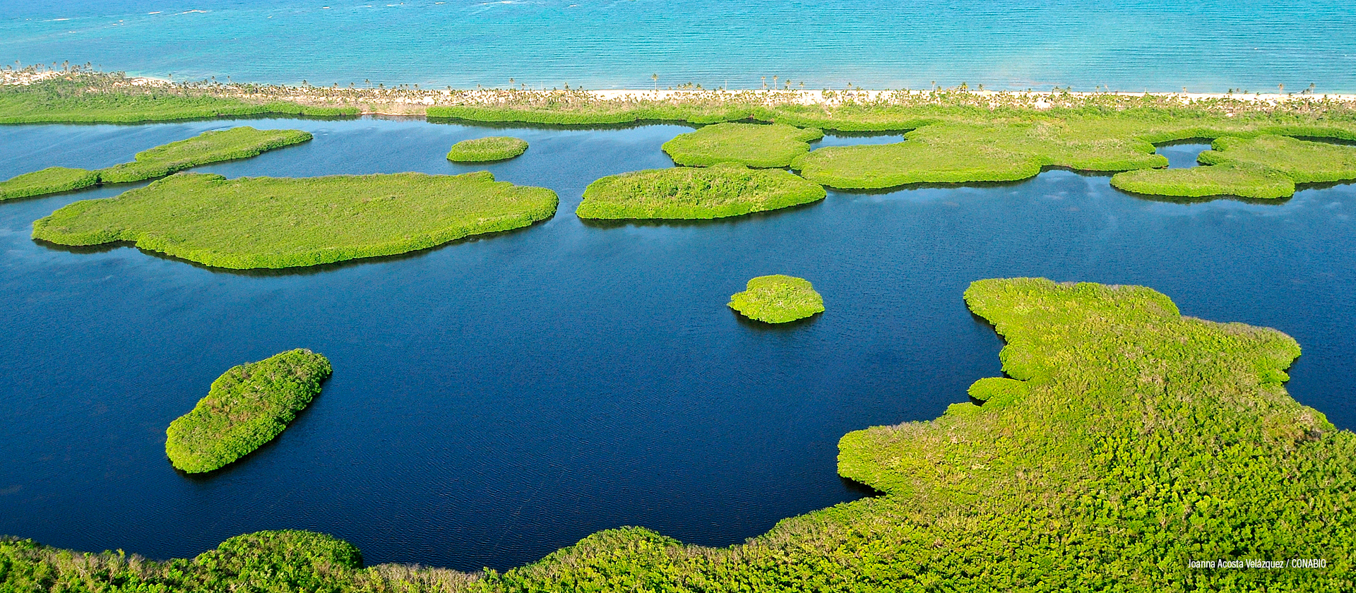 Xcalak, Quintana Roo