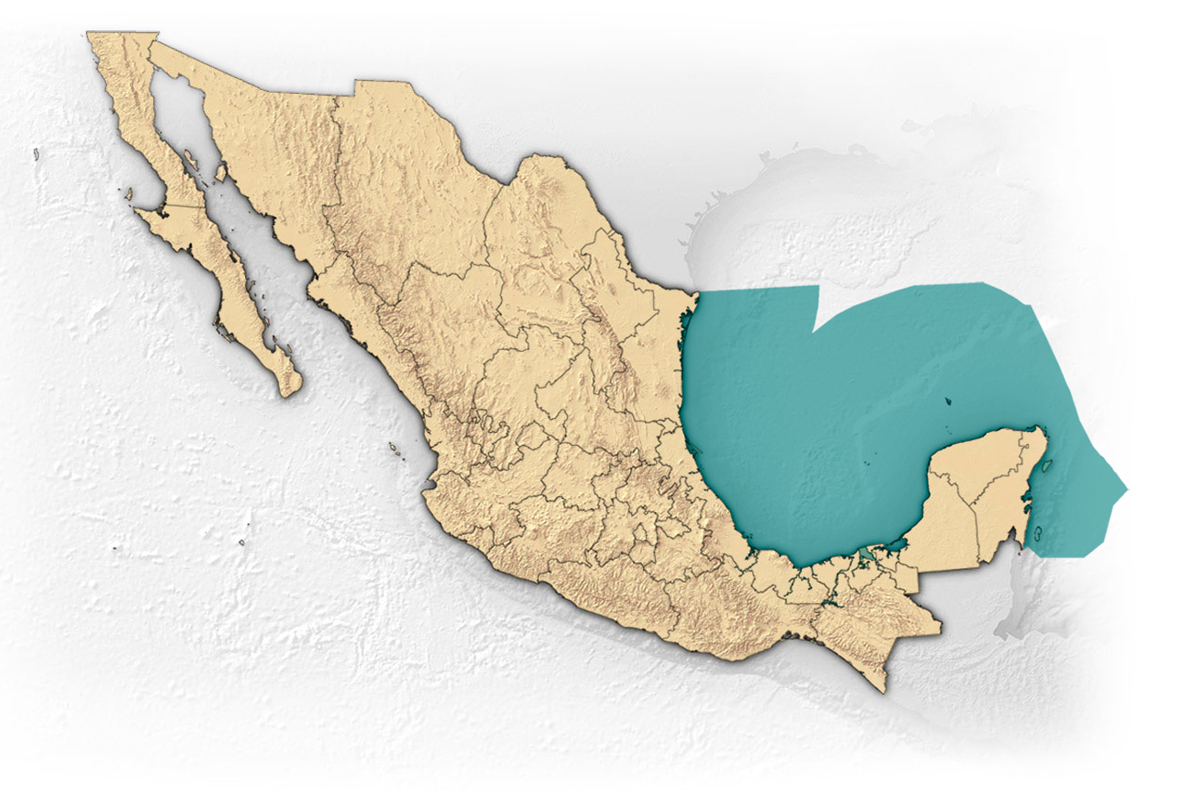 Mapa de Golfo y Caribe en México