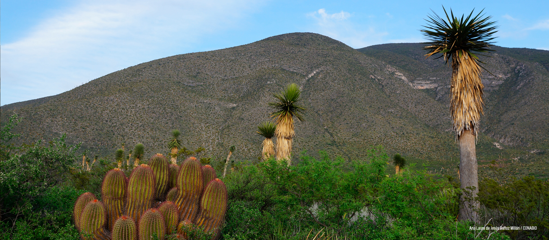 Tamaulipas, México