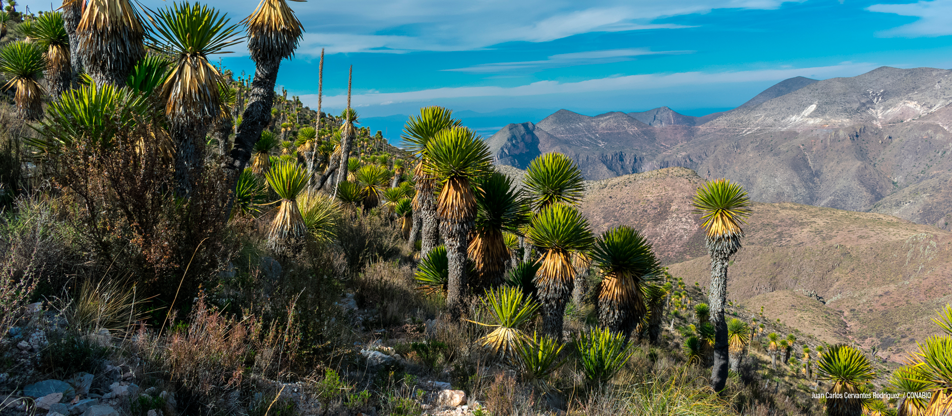 Real de Catorce, San Luis Potosí