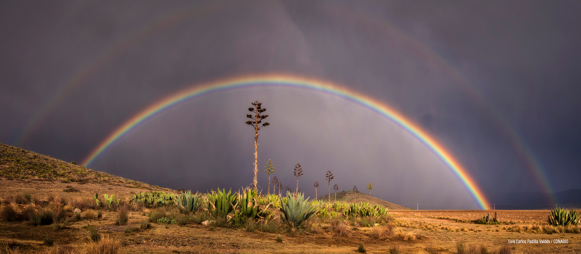 Arteaga, Coahuila