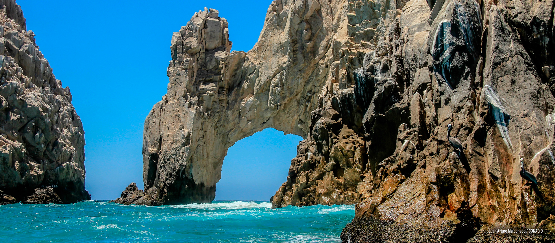 Los Cabos, Baja California Sur