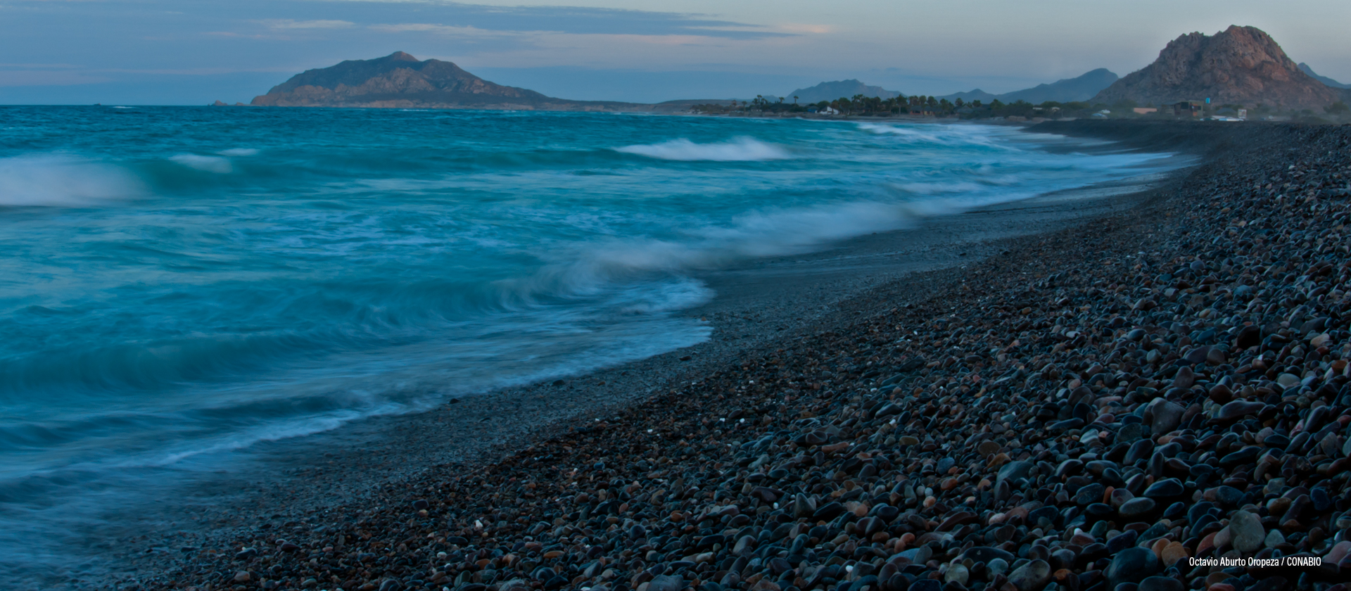 Cabo Pulmo, Baja California Sur