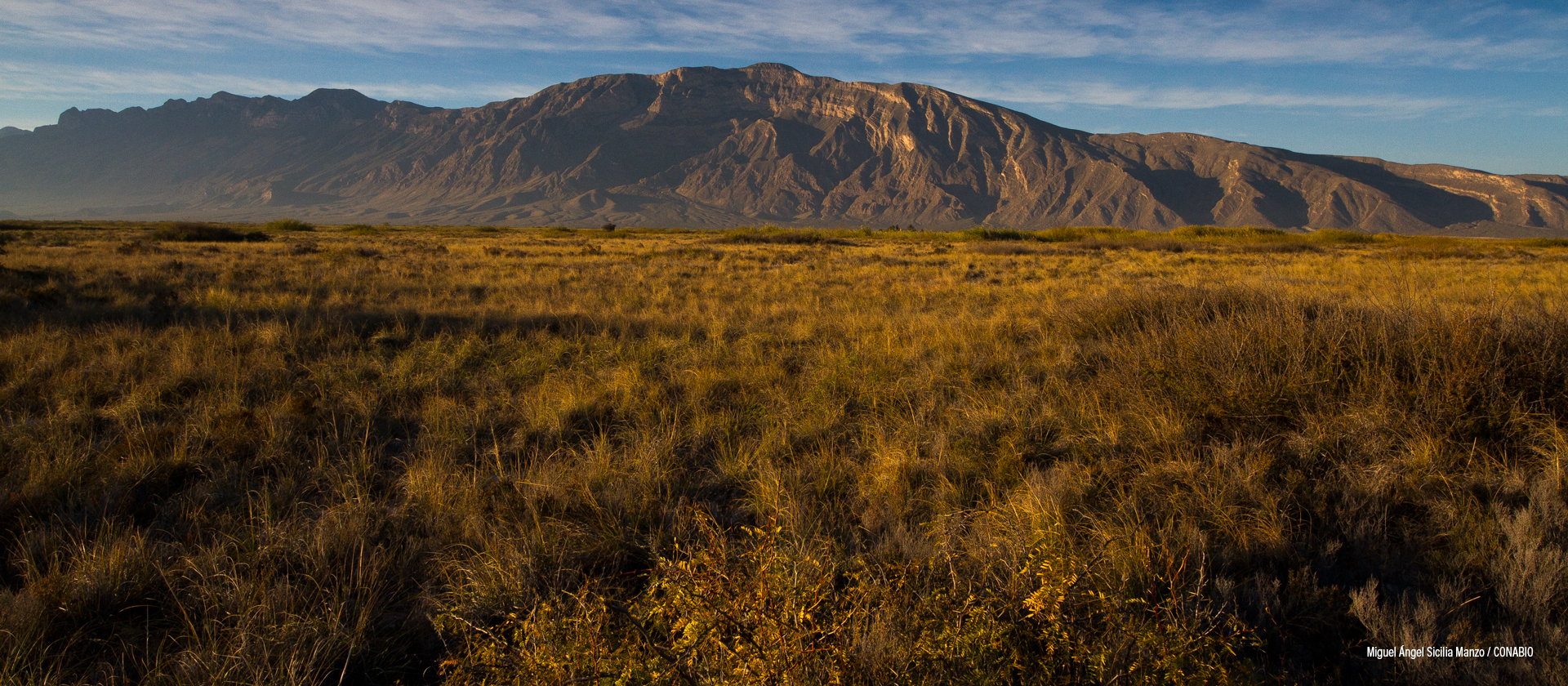 Cuatro Ciénegas, Coahuila