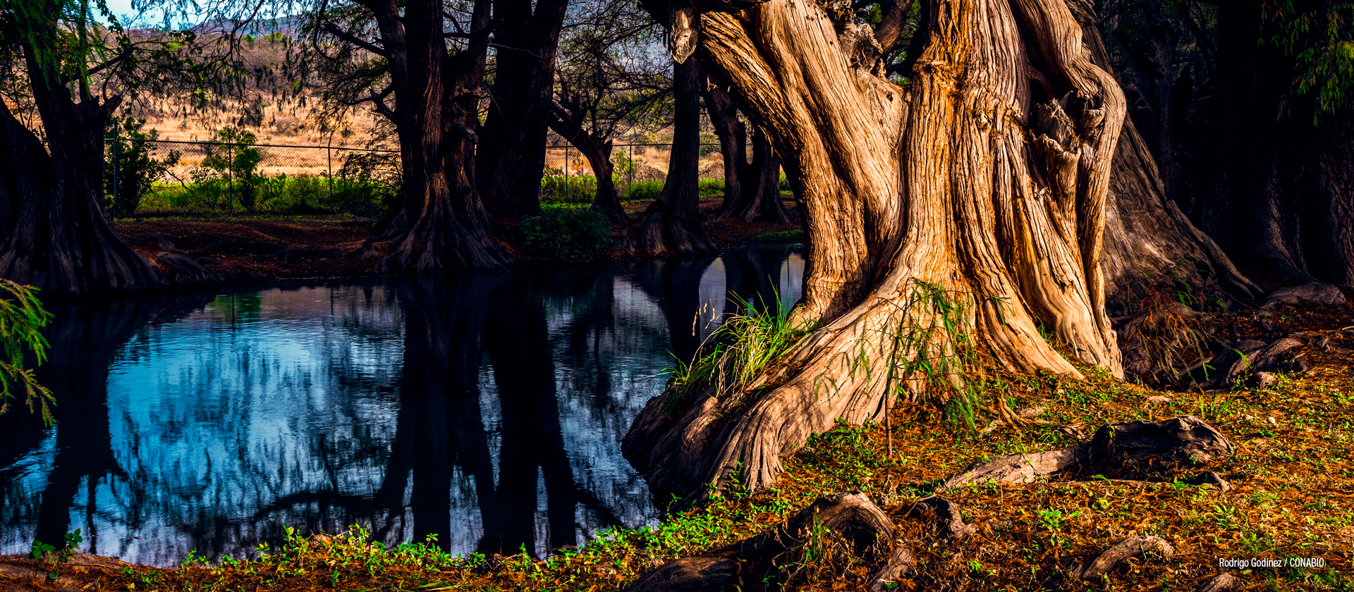 Parque Nacional Lago de Camecuaro