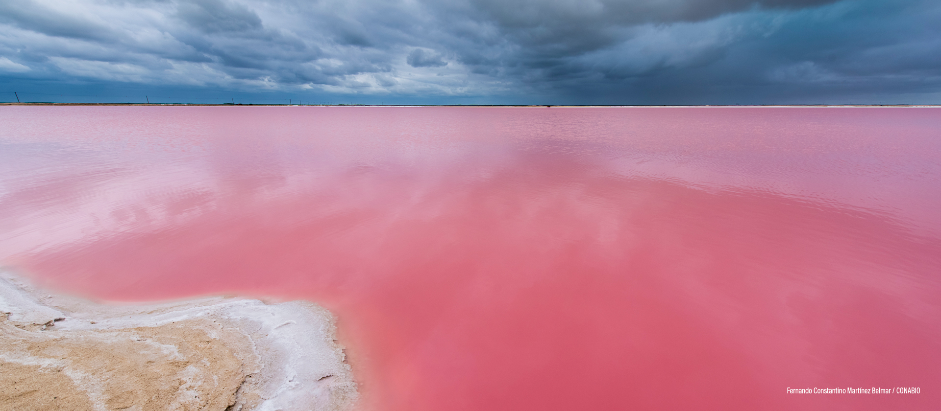 Río Lagartos, Yucatán