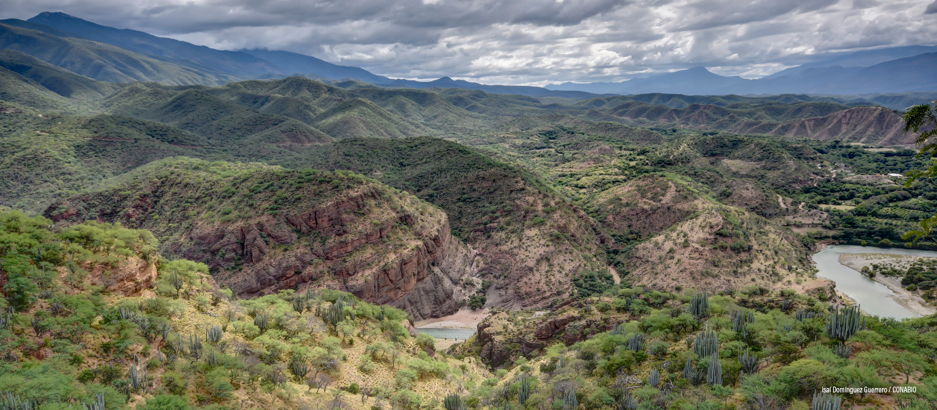 San Sebastián Ixcapa, Oaxaca