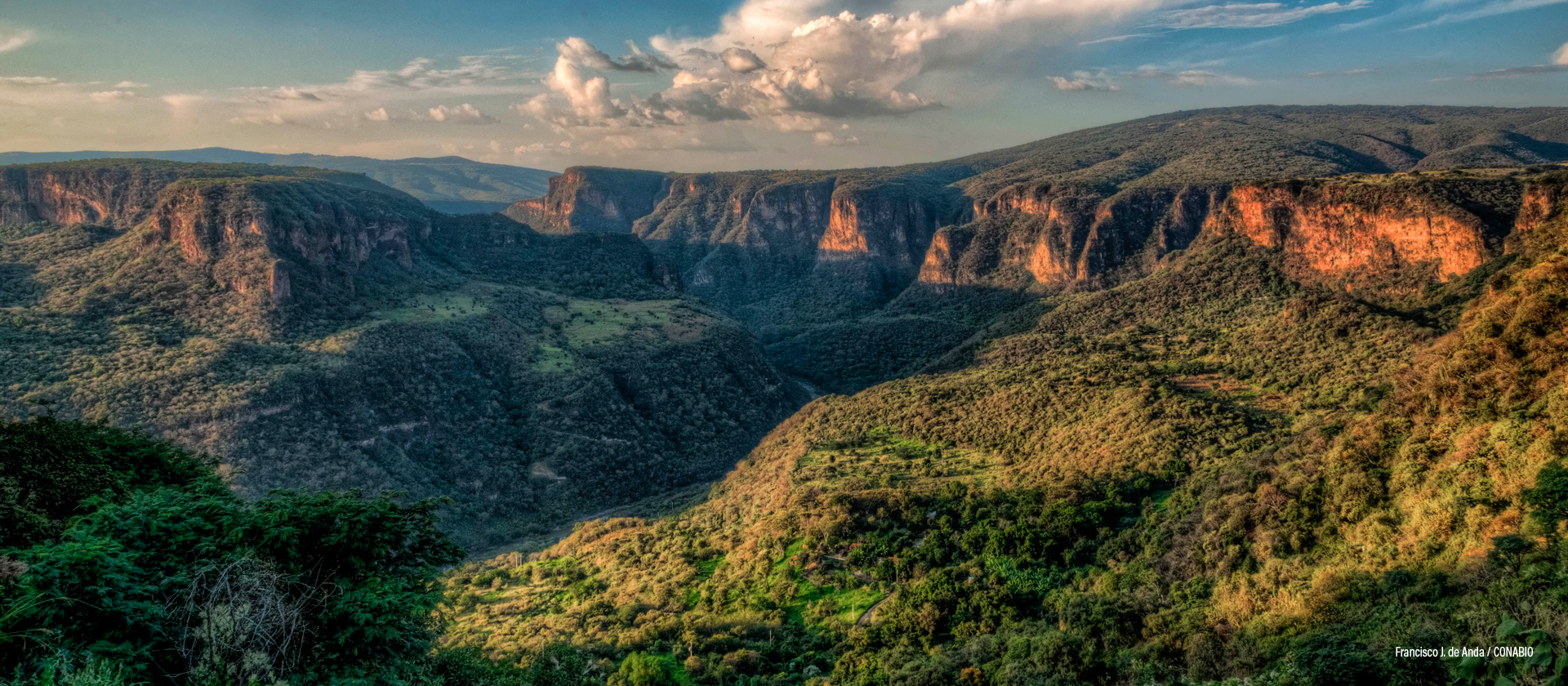 Acatic, Jalisco