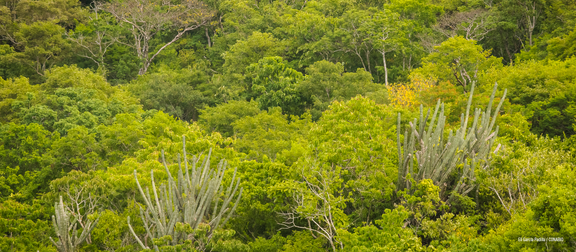 Santa María Huatulco, Oaxaca